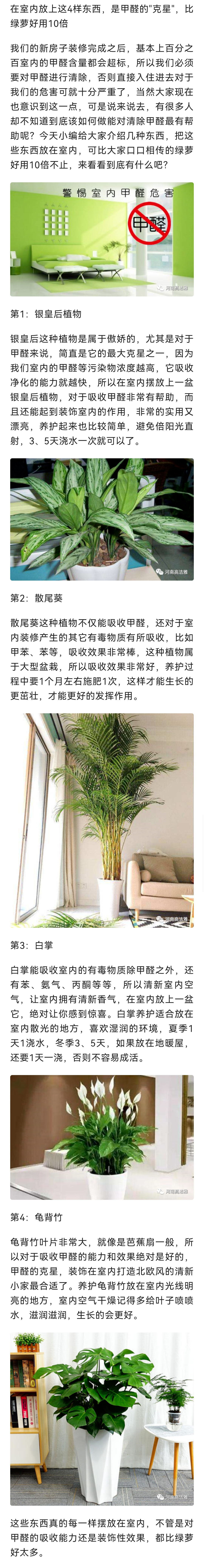 高洁雅郑州除甲醛
