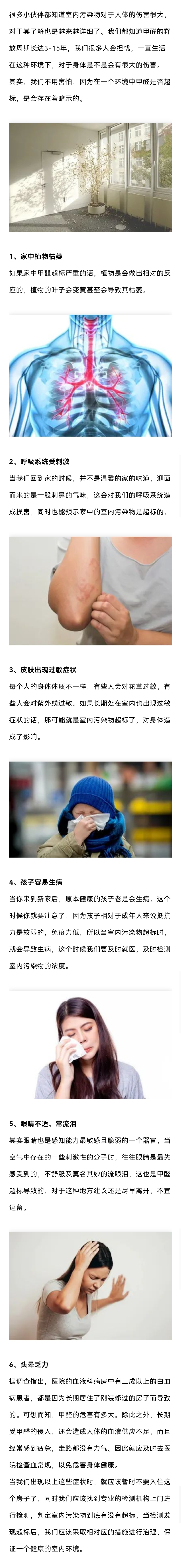 高洁雅郑州除甲醛